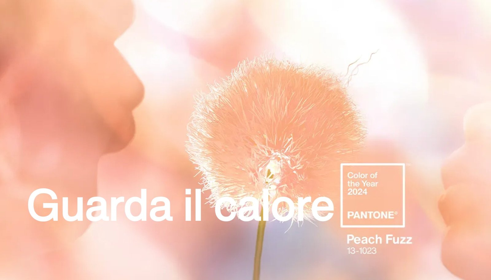 PANTONE® Italia Color of the Year 2024 Home scaled